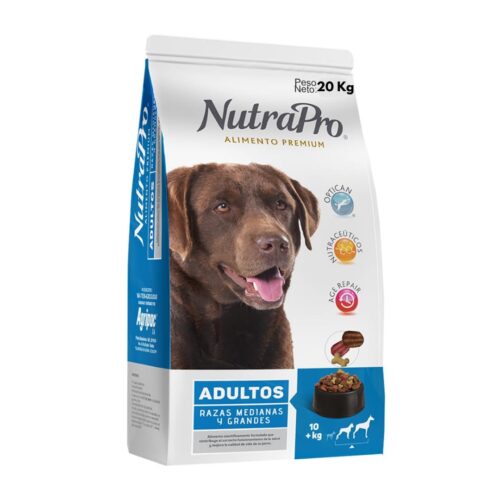 ADULTOS