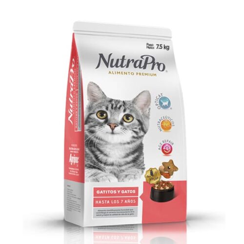 GATITOS Y GATOS