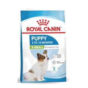 X SMALL PUPPY